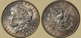 [1902-O Morgan Dollar (c) 2007 Michael Parrish]